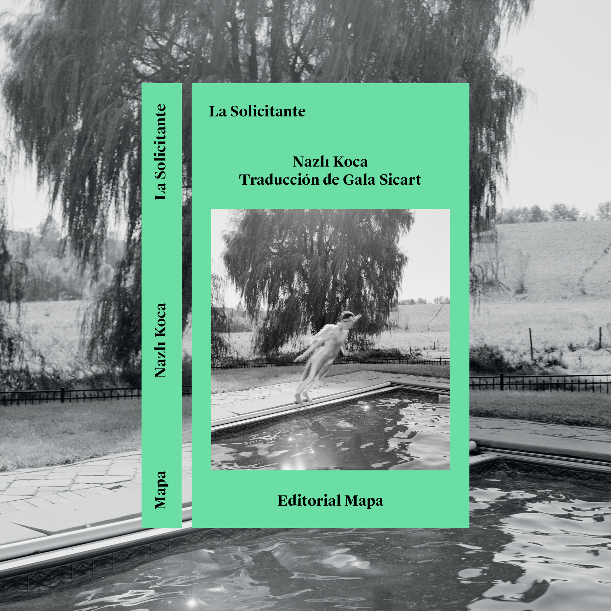 La solicitante ∼ Nazli Koca